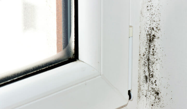 Fenster Beschlagen Von Innen Kondenswasser Vermeiden